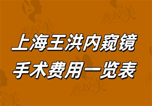 上海王洪内窥镜手术费用一览表