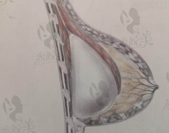 南昌大学第 一附属医院整形科价格表