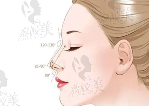 上海联合丽格范荣杰初鼻半肋综合价格