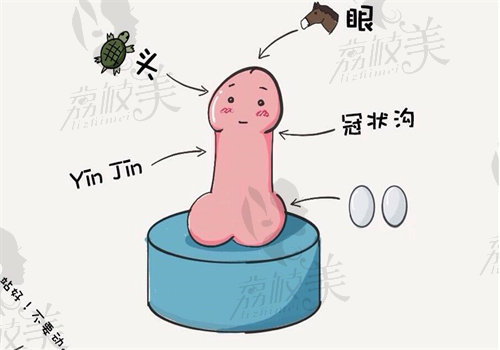 杭州阿波罗邓刚做男性生物补片增粗增大手术多少钱