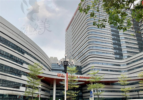 广东医 科 大学附属医院口腔科收费价格表