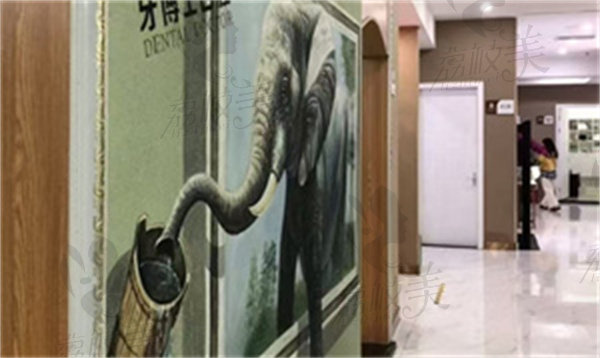 韩国 SG 种植牙 VS 韩国登腾