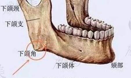 首尔江南区必妩整形医院怎么样