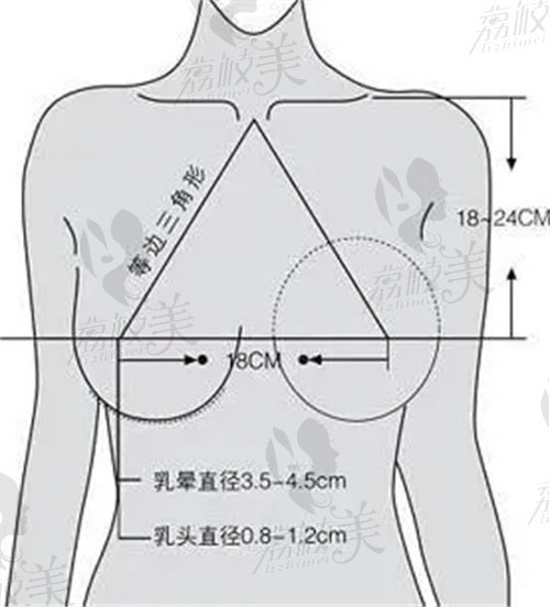 王新灿丰胸怎么样