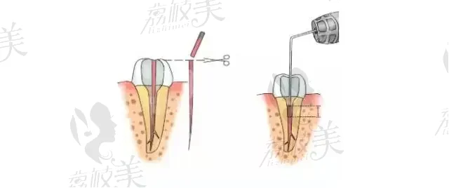 哈尔滨口腔医院合集前十简介，榜上5家好评多，病例口碑好!