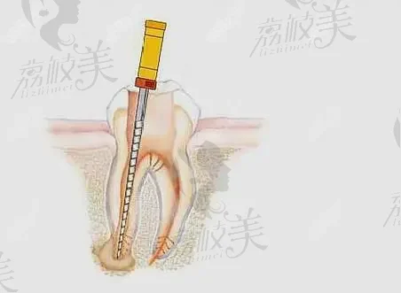 舟山便宜又好的口腔医院有哪些？汇总国内3家，人气排名榜&价格表公布！