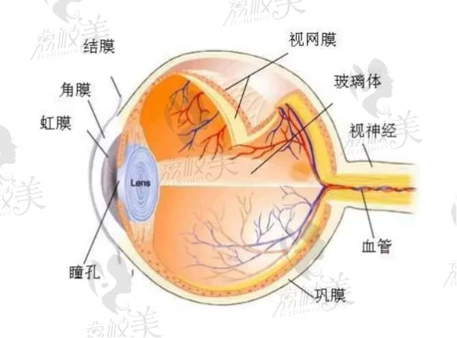 上海老人白内障治疗好医院盘点，实力医生坐镇！优点对比~