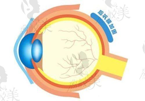 乌鲁木齐474空军眼科怎么样？医院正规看眼睛实力没得说而且收费很合理