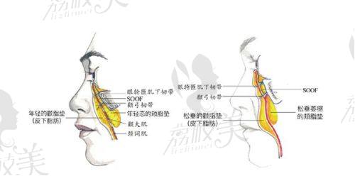 中山貝熙醫(yī)療美容醫(yī)院美貝爾眉肌重組16800元起，重塑眉形展現(xiàn)別樣魅力 