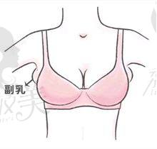 项目价格表