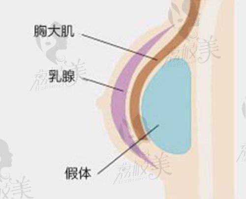 魔法校对