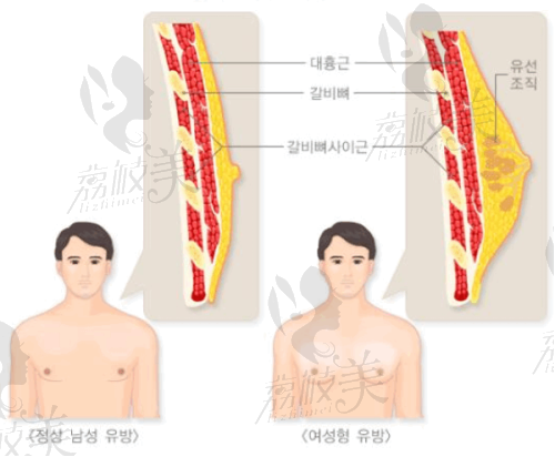 南宁柏琳悦美其他整形项目价格及特色