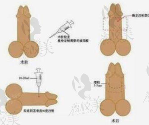 罗颖医生荣誉资质：