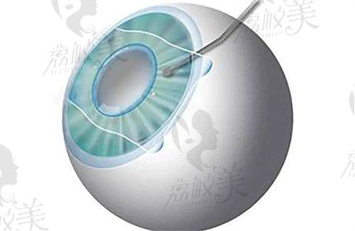 社会职责与公益活动