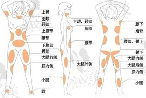 杜智超医生执业信息: