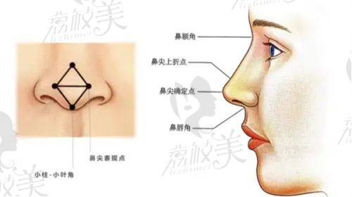 李韵芳医生荣誉资质：
