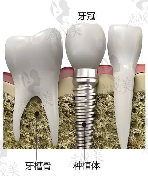 黄志医生怎么预约挂号？