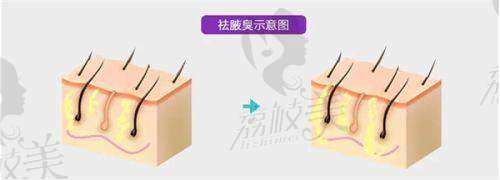 王宏医生怎么预约挂号？