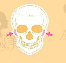 罗姗医生荣誉资质: