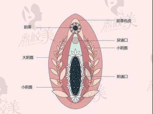 新疆石河子希望医院（私密科）怎么预约挂号？