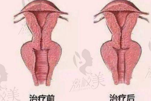 校对小星