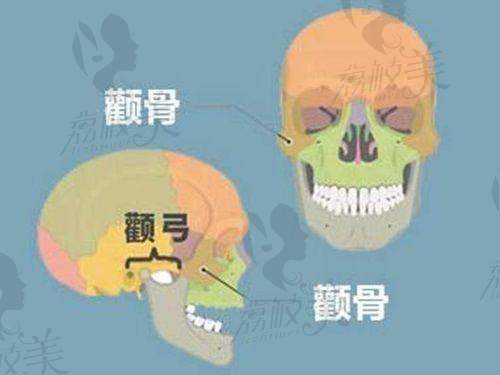 项目价格表