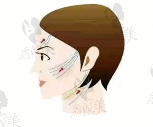 语法乐园