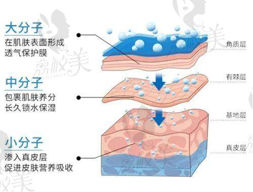 五、合理的价格体系：满足不同需求
