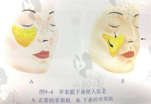 预约方式：便捷多样开启杭州艺星李俊霞医生变得更美之旅