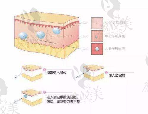 8. 黄南儒 | 漾丽颜美学中 心