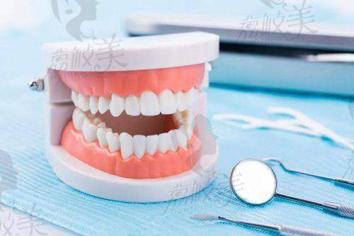 赵玉红医生简介