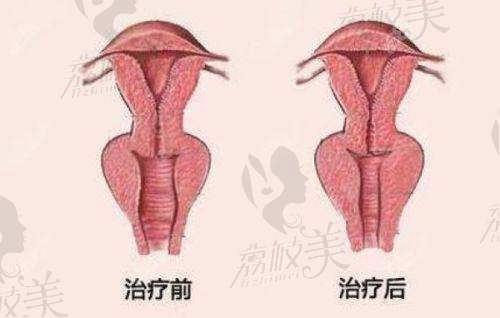 项目介绍