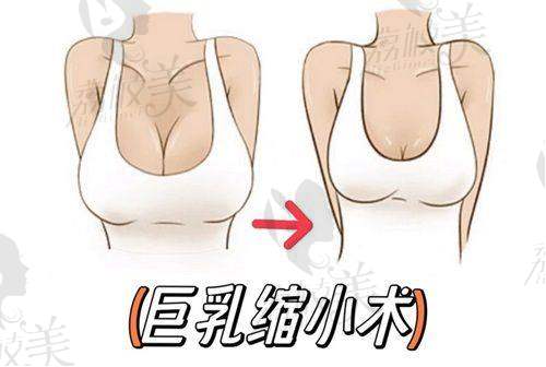 四、项目价格表