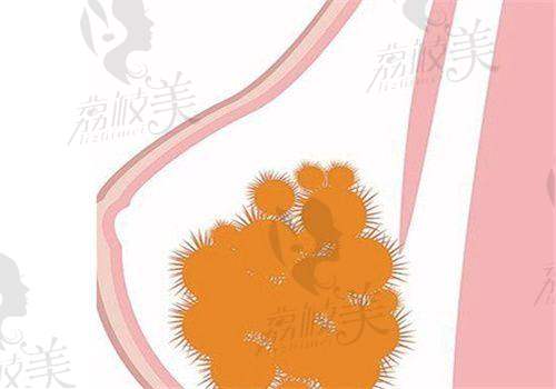 医生介绍