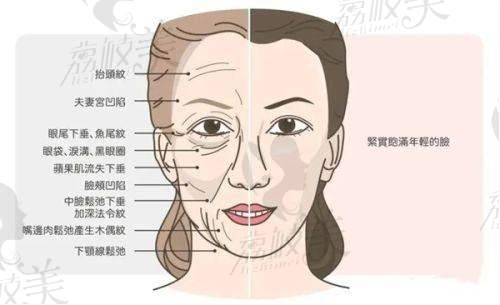项目价格表
