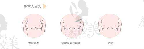 五、服务保护体系