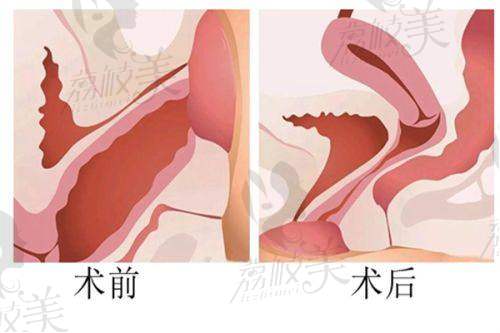 项目价格表