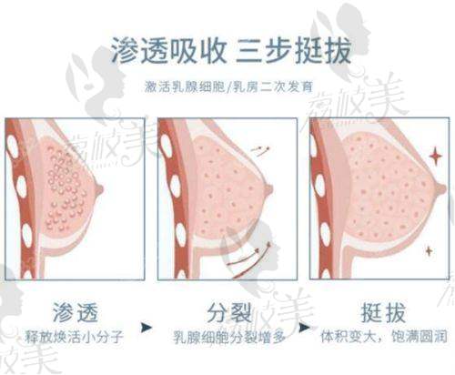 (三)生物束带私密