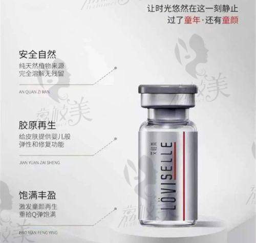 三、项目介绍