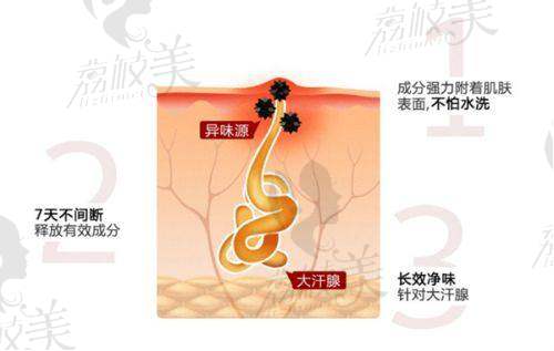 二、王慧文医生介绍