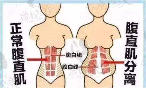 项目介绍