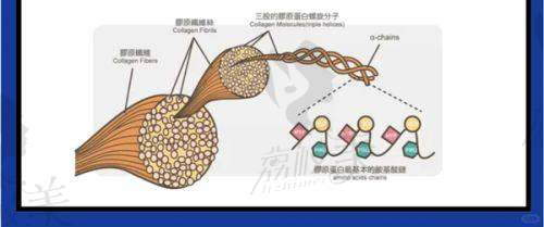 二、医生介绍