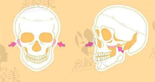 医生介绍