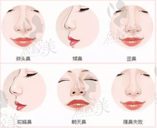 医生介绍