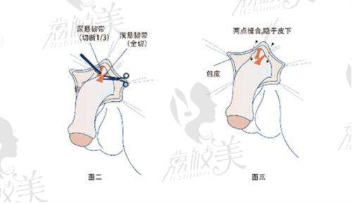 四川省人民医院整形外科营业时间：
