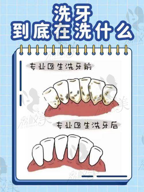 三、价格贵不贵？我们直接上数字！收费就是那么透明