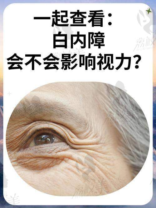 文为杰医生荣誉资质