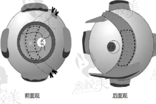 李绍思医生执业信息：