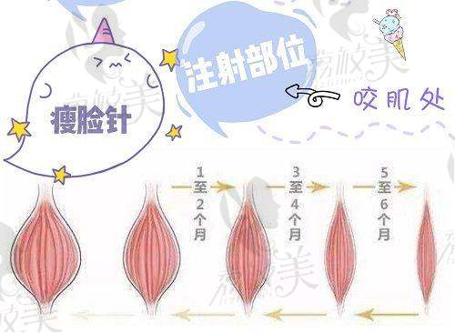 眼鼻整形專長盡顯高超技藝