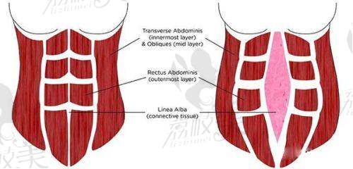北京凯丽汇美医疗美容诊所怎么预约挂号?